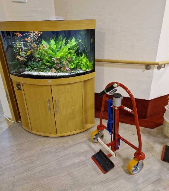 Ein 240l Aquarium muss für eine große Renovierung umziehen.